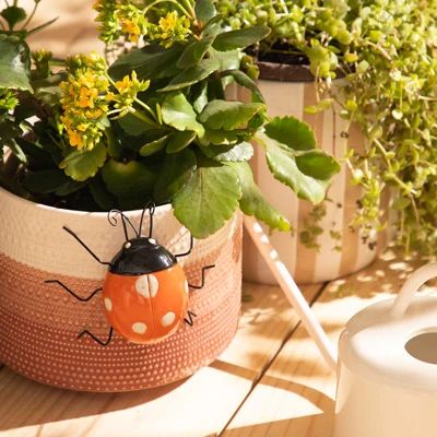 Macetas, soportes y decoración