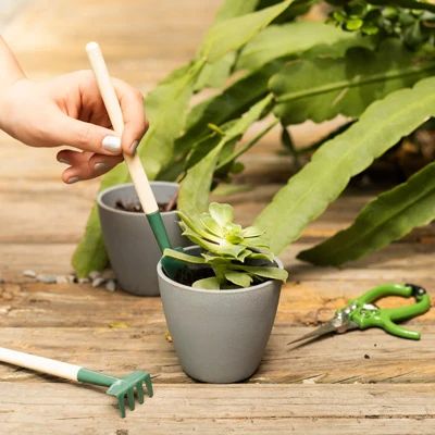 Herramientas y accesorios de jardín