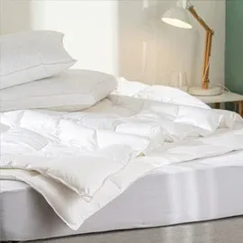 Relleno de plumon/duvet