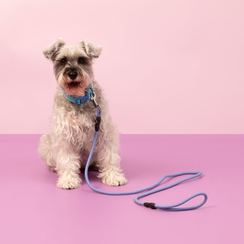 Correa de cuerda para mascota S/M