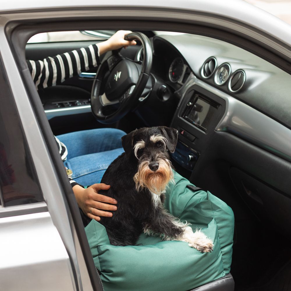 Asiento de auto para mascotas