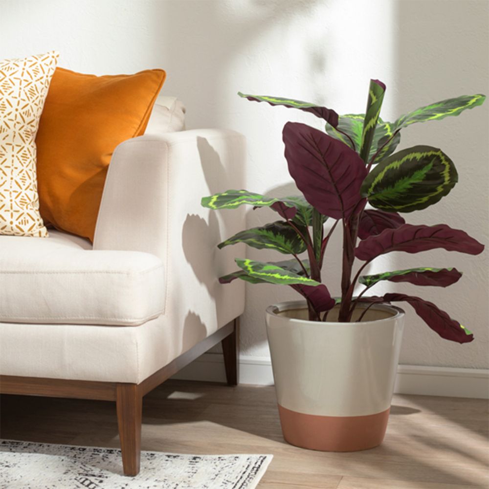 Maceta con planta grande 40x85 cm