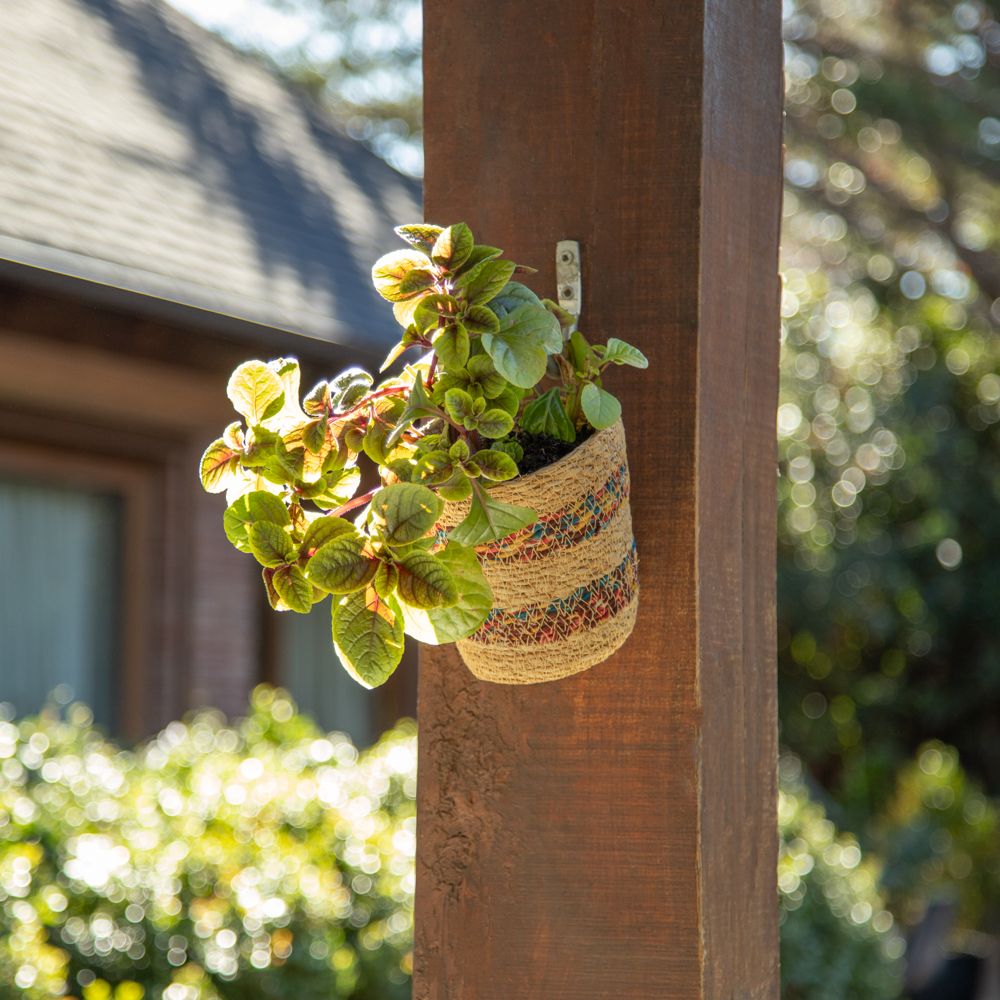Porta maceta para muro de fibra 15x15 cm