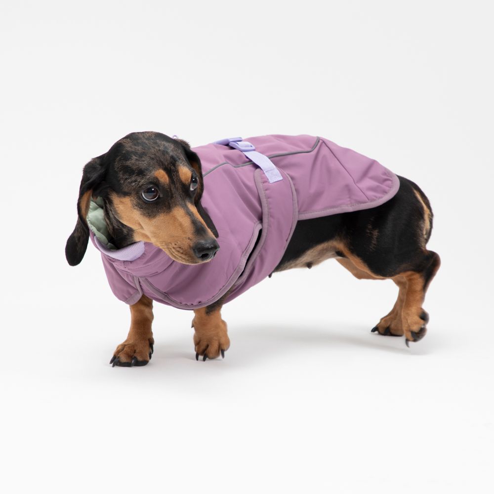 Chaqueta de perro impermeable M