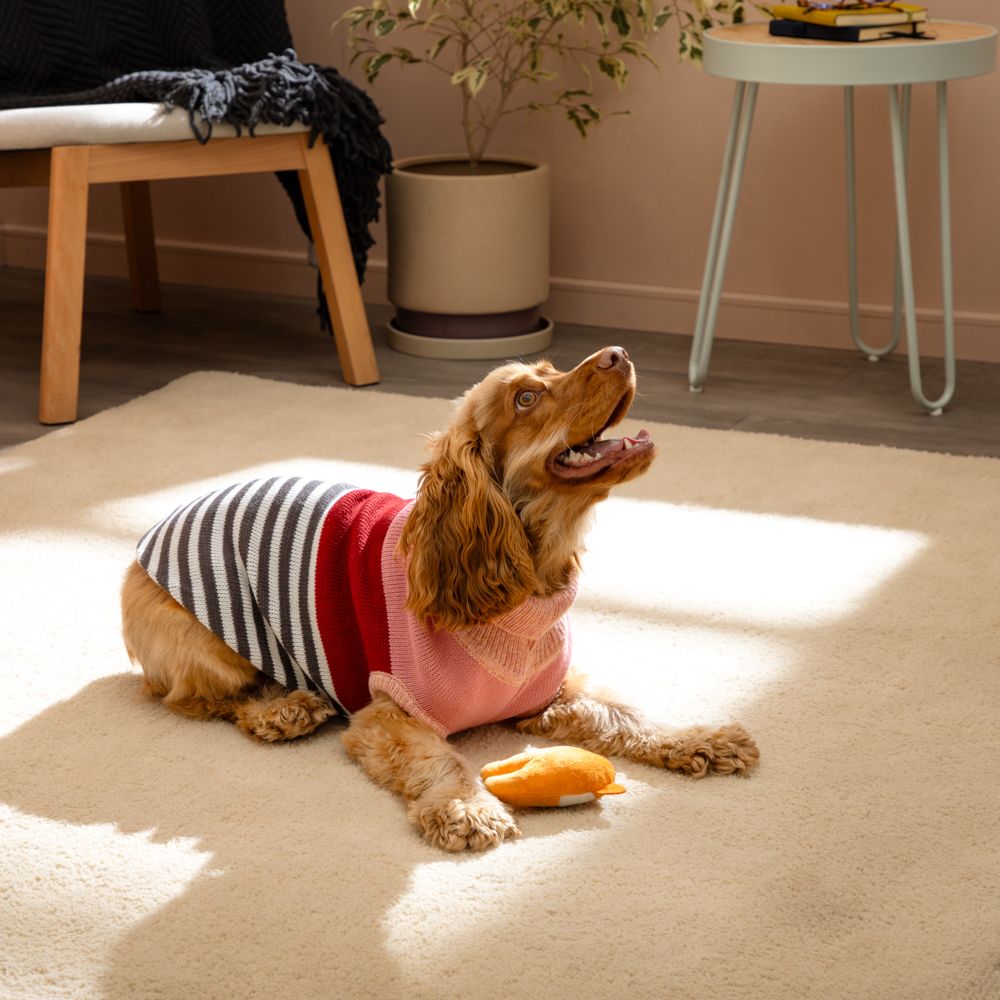 Chaleco tejido para mascota talla mediana