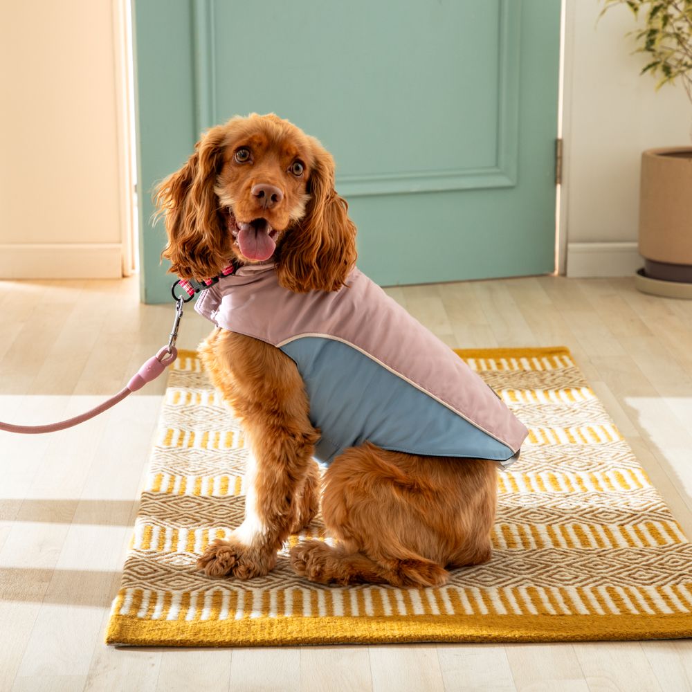 Chaqueta impermeable para mascota talla mediana