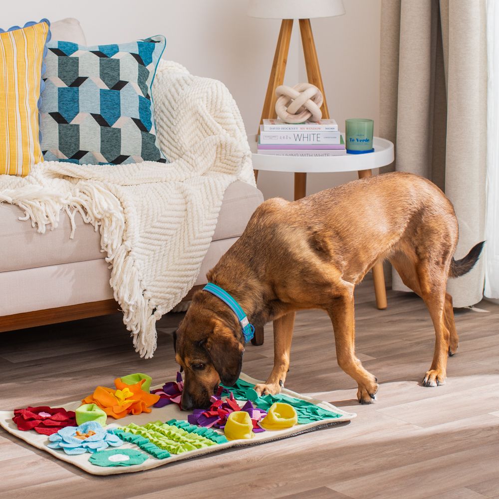 Tapete olfativa para mascotas