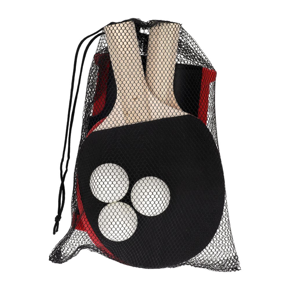 Set de ping pong transportable