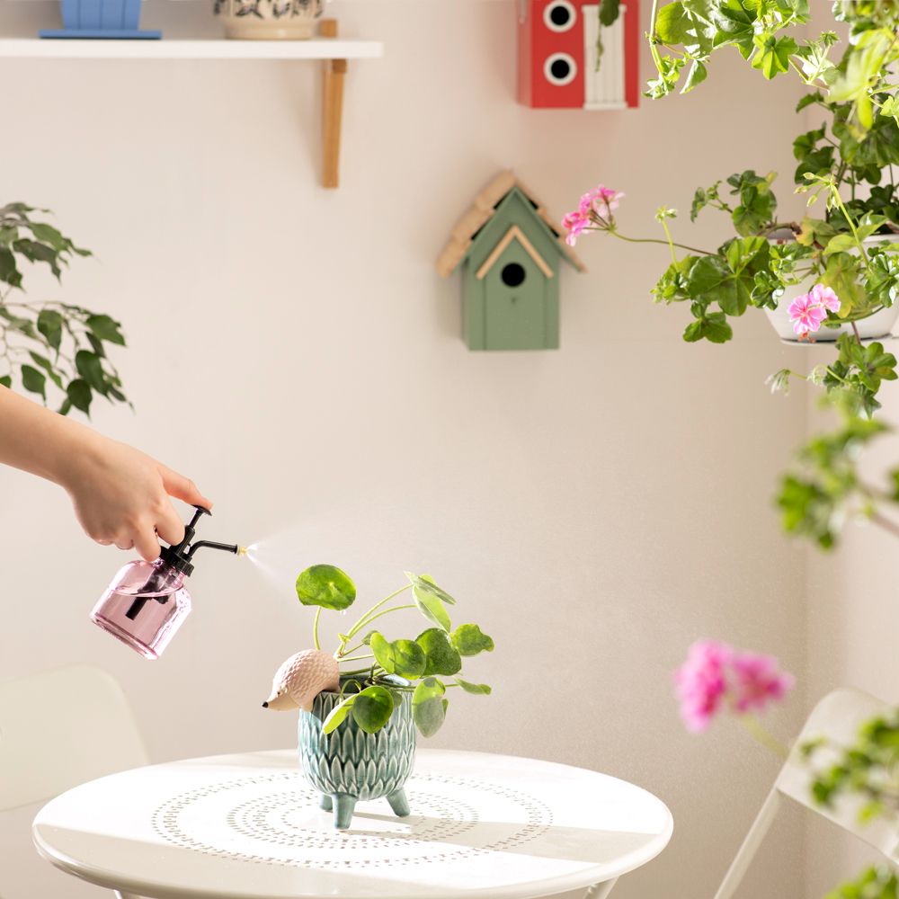 Rociador para plantas de vidrio 220 ml