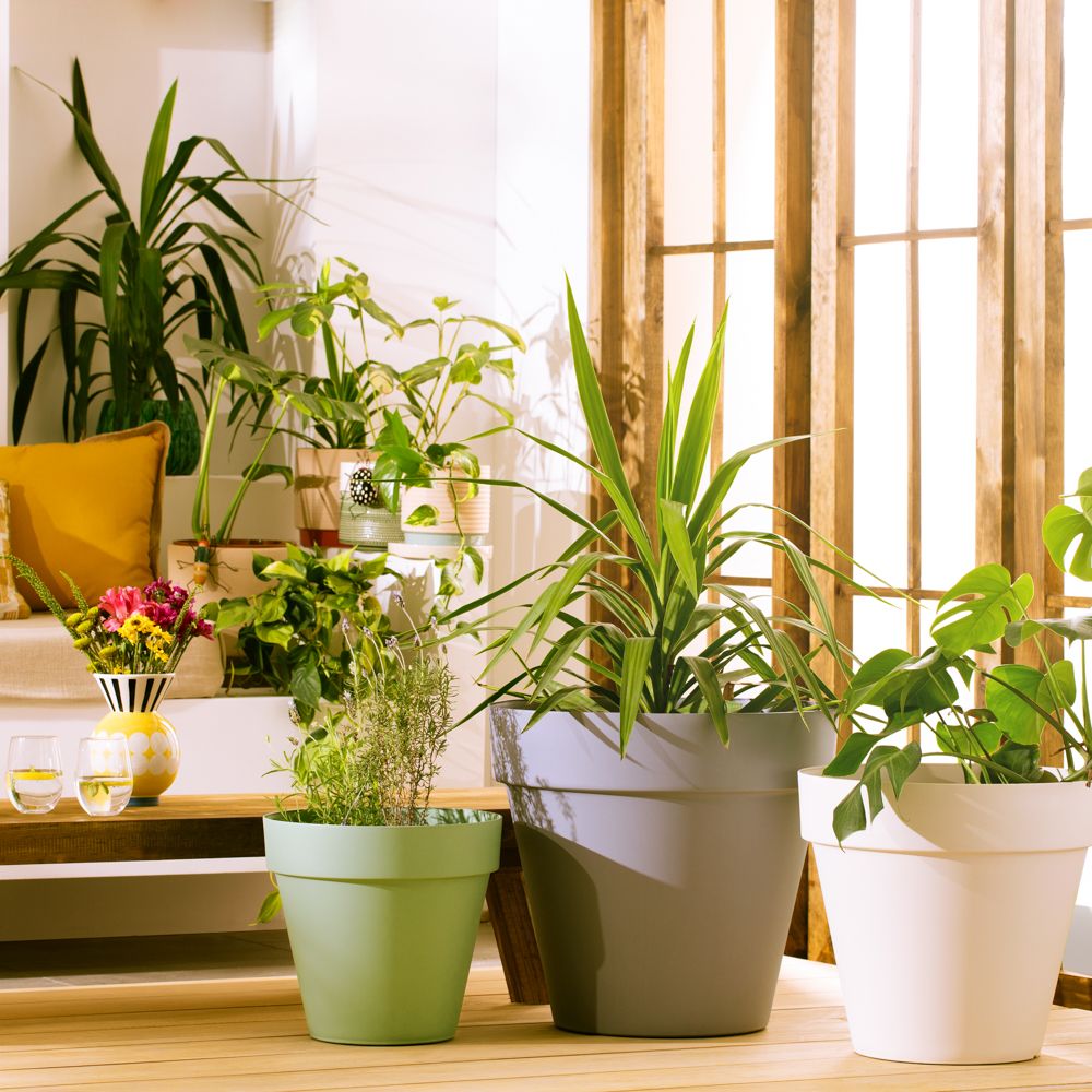 Maceta plástica con ruedas 55x55.5 cm