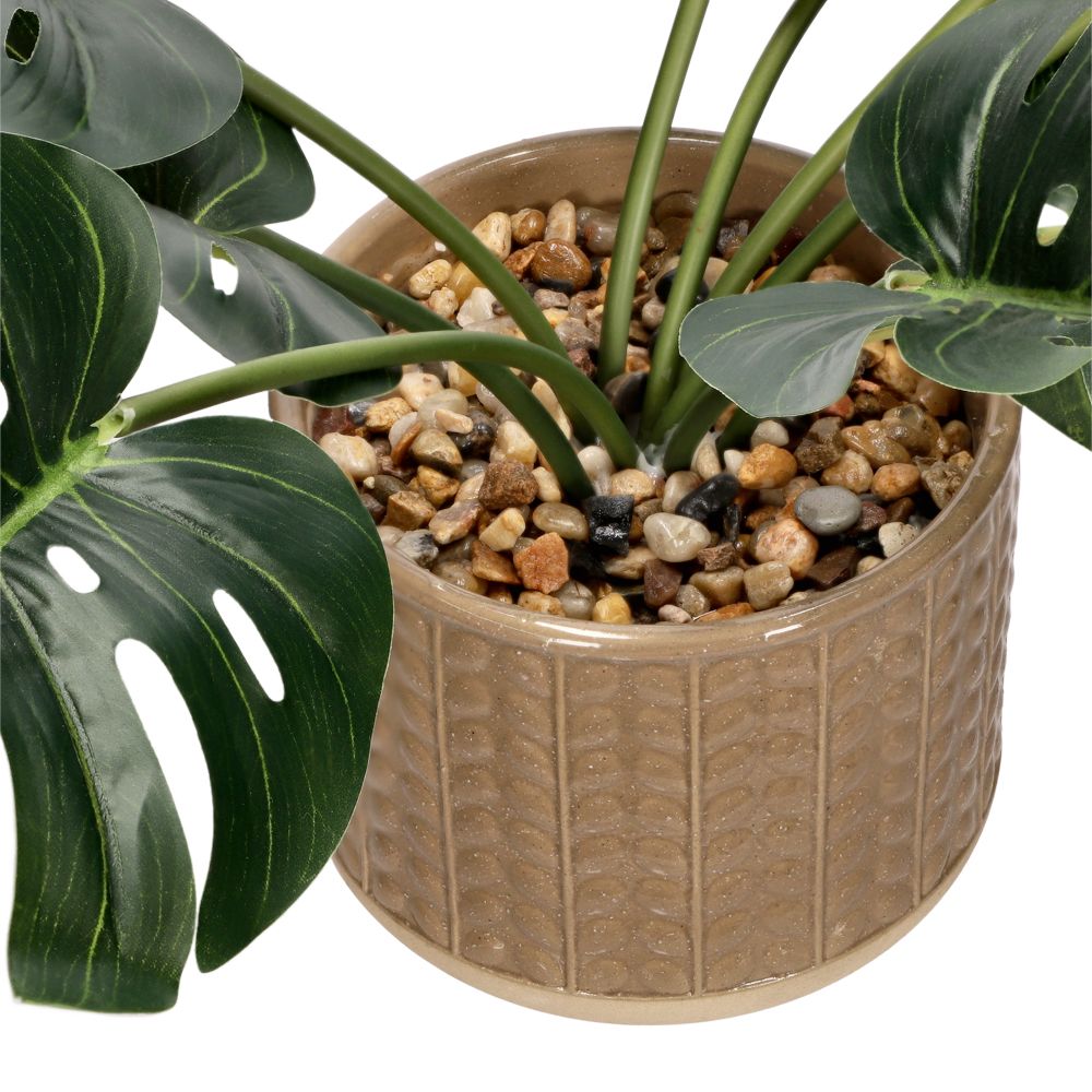 Planta con maceta 18x34 cm