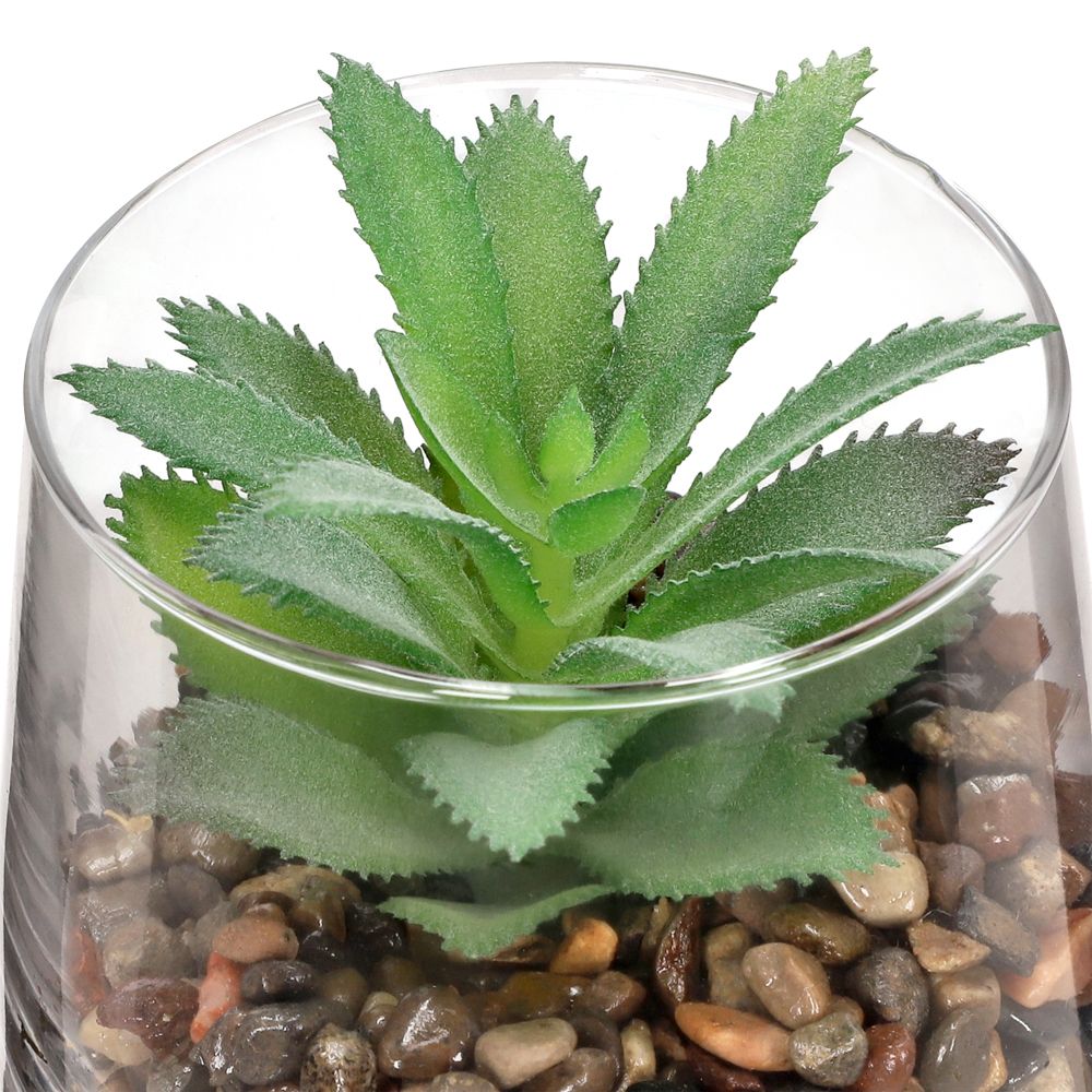 Maceta de vidrio con cactus