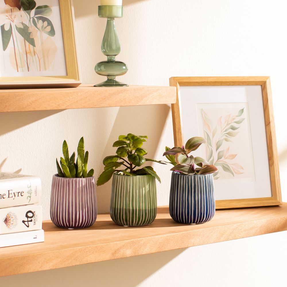 Maceta de cerámica 9x9.5 cm