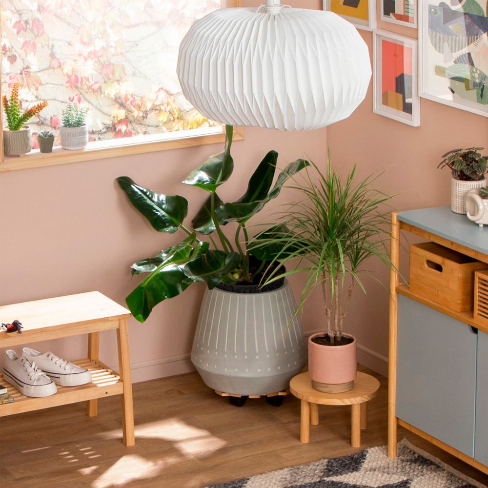 Base Maceta Madera con Ruedas 30x7 cm