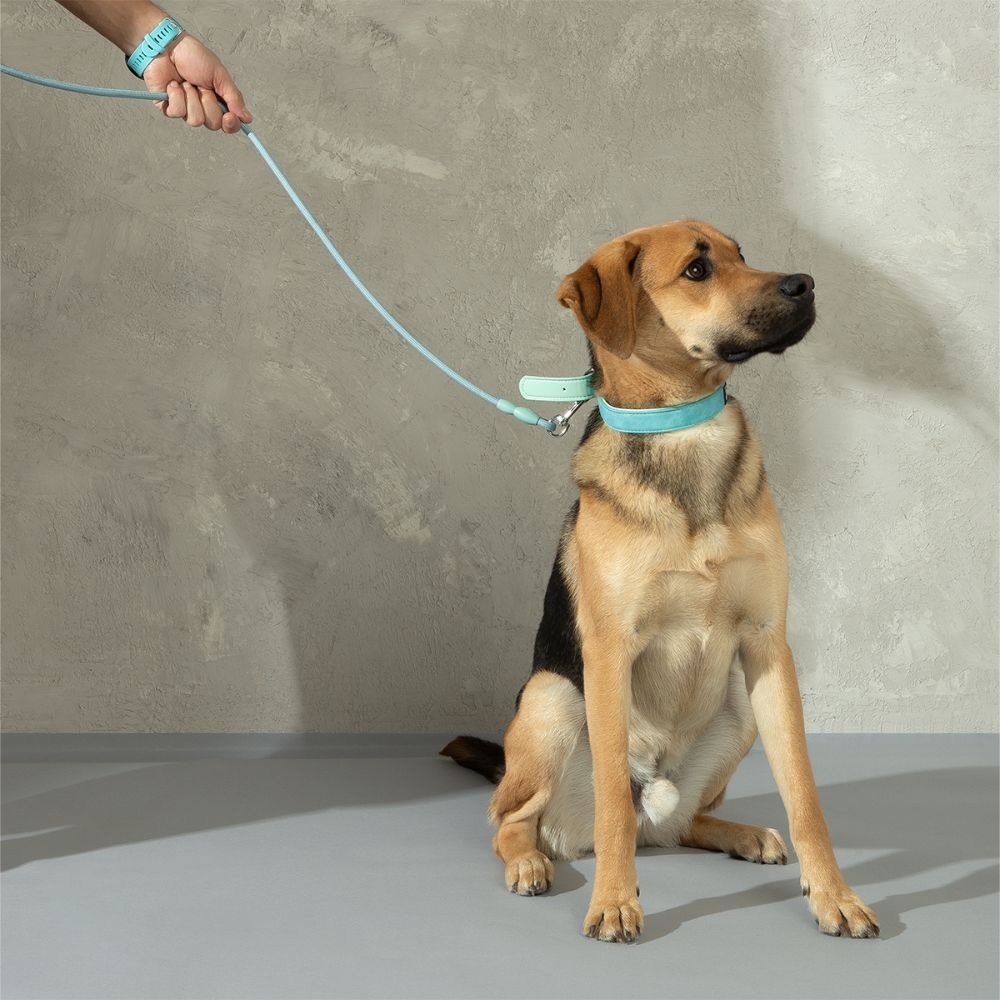 Correa de Cuerda para Mascota L/XL