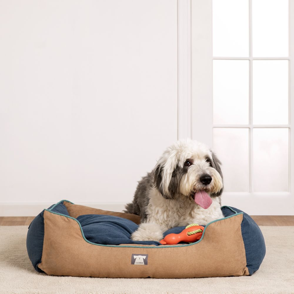 Juguete de cuerda con figura y sonido