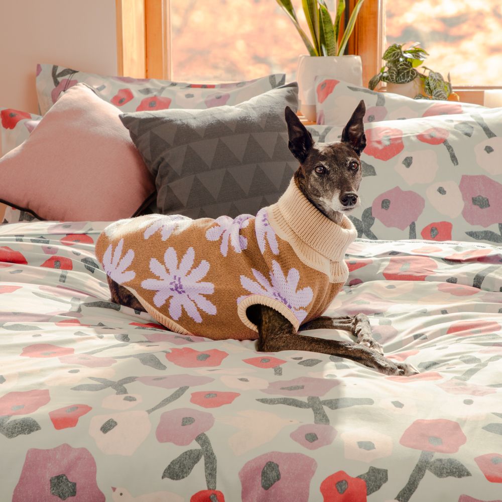 Chaleco tejido para mascota talla grande