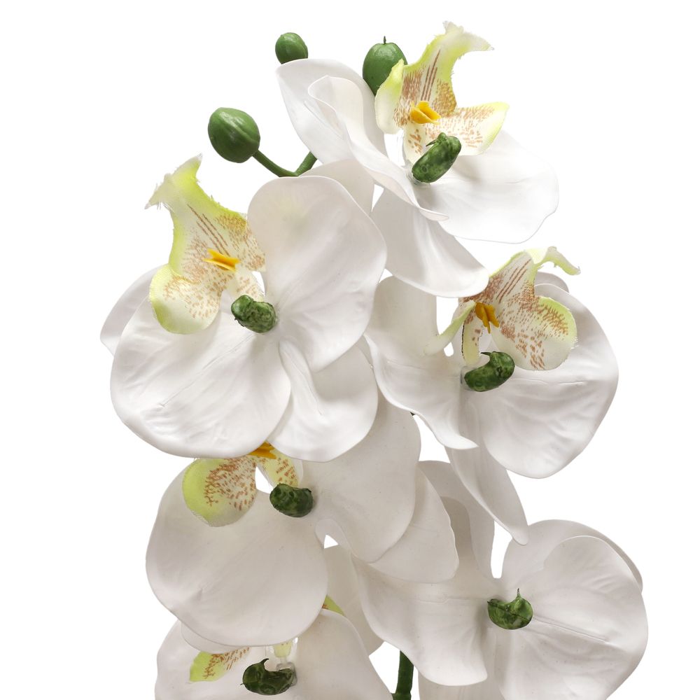 Maceta con orquídea mediana