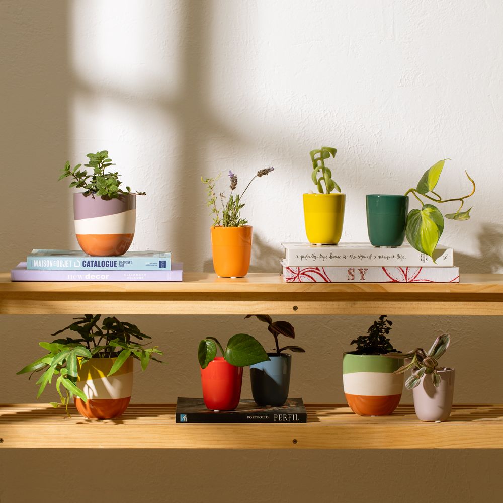 Maceta Cerámica 7.5x8.5 cm