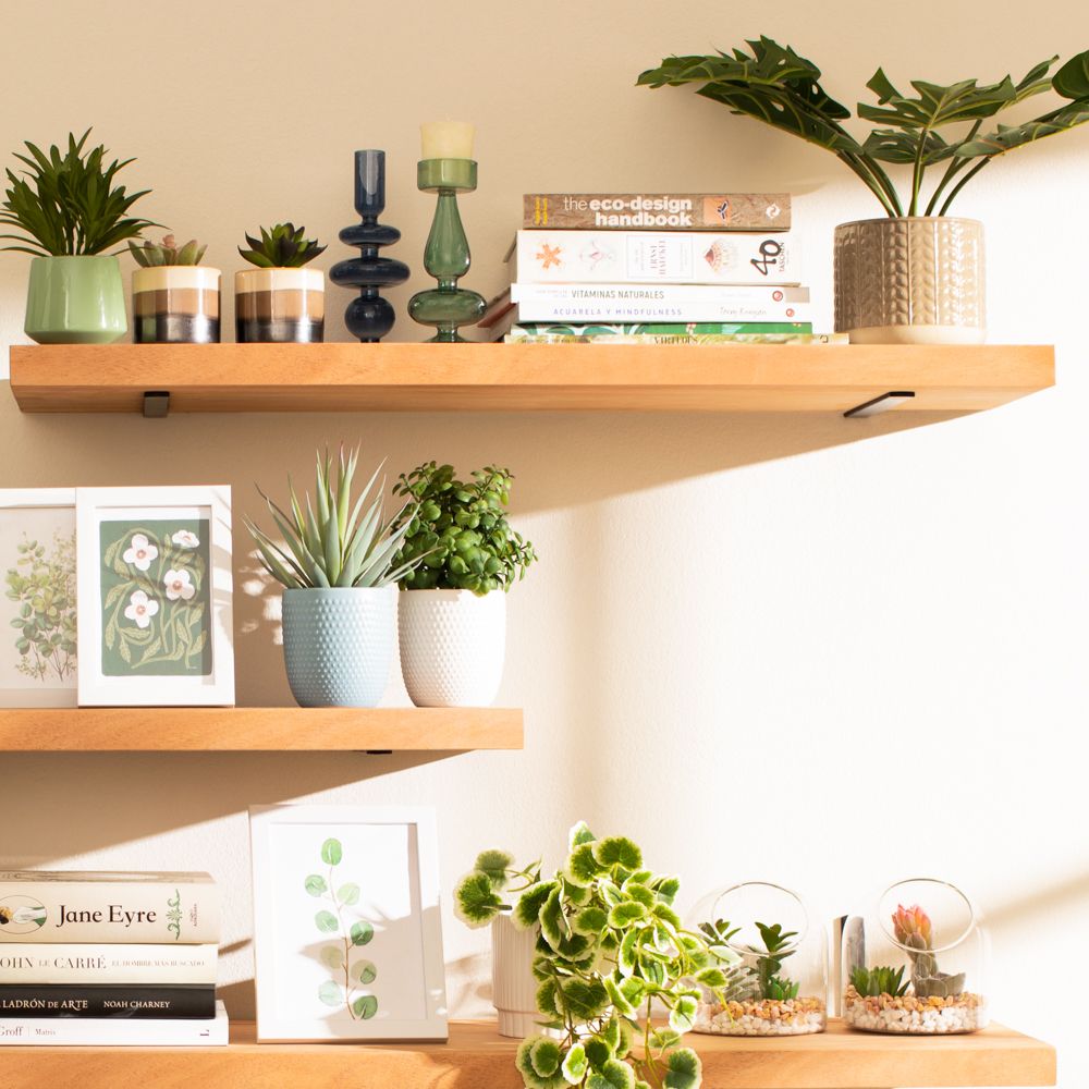 Planta con maceta 8x17 cm