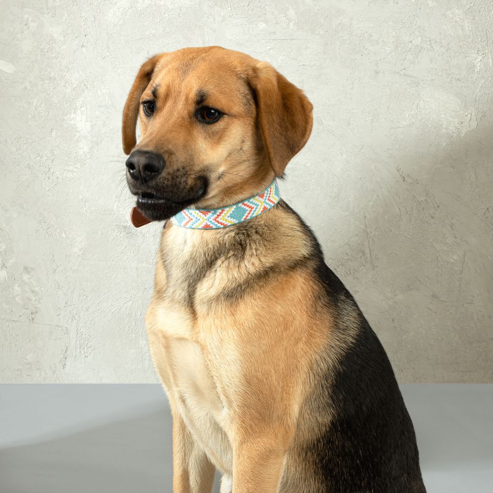 Collar Cinta Ajustable para Mascotas L