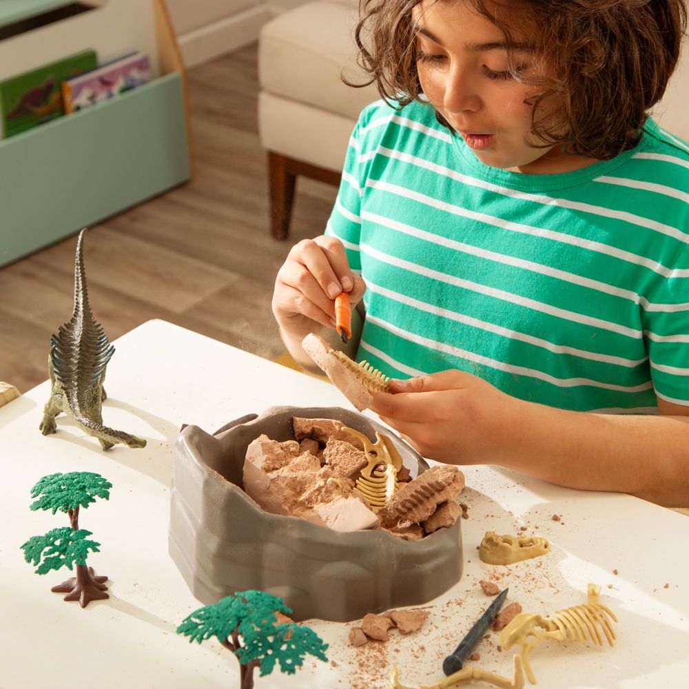 Kit de excavación de fósil dinosaurios
