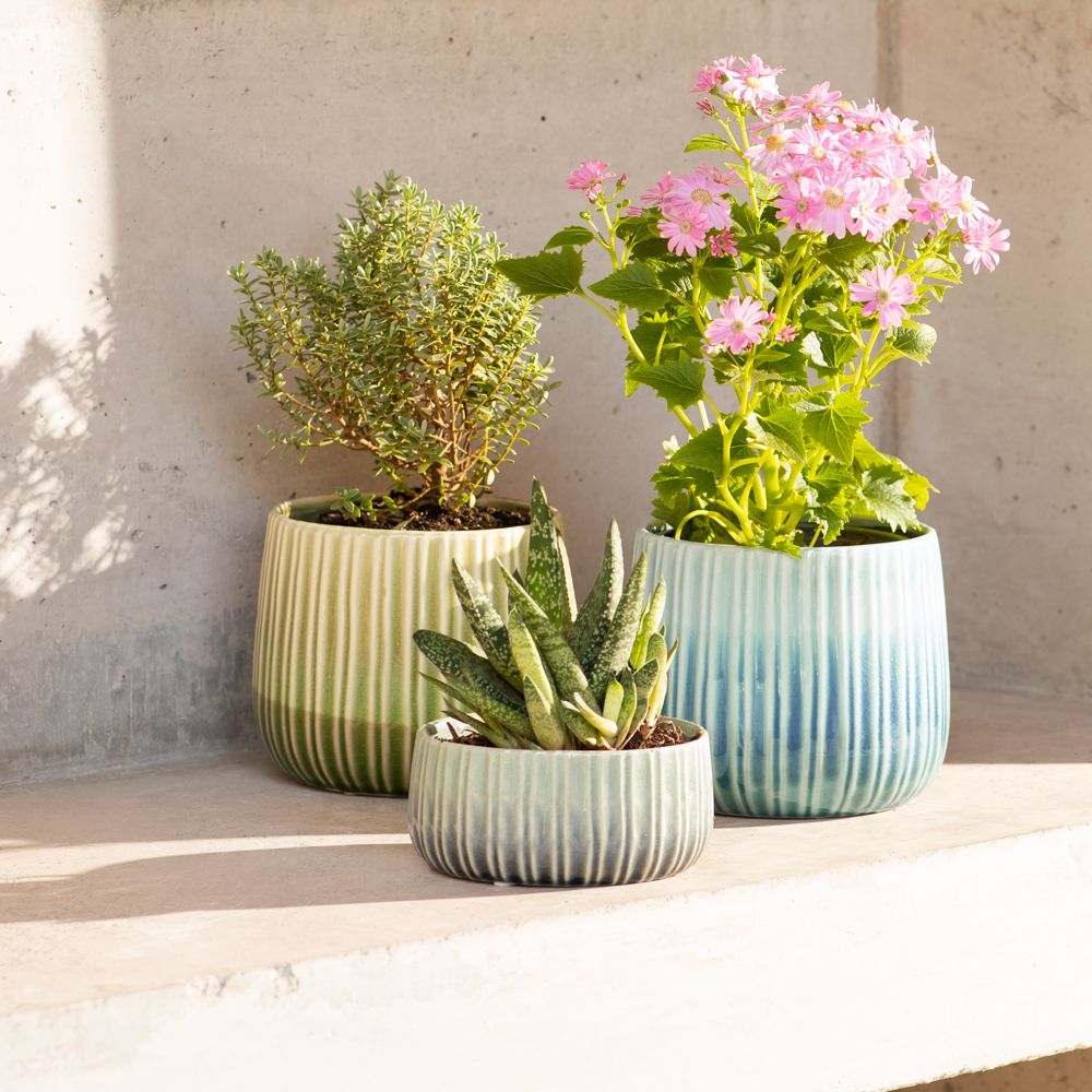 Maceta de cerámica con textura 17.7x14.7 cm