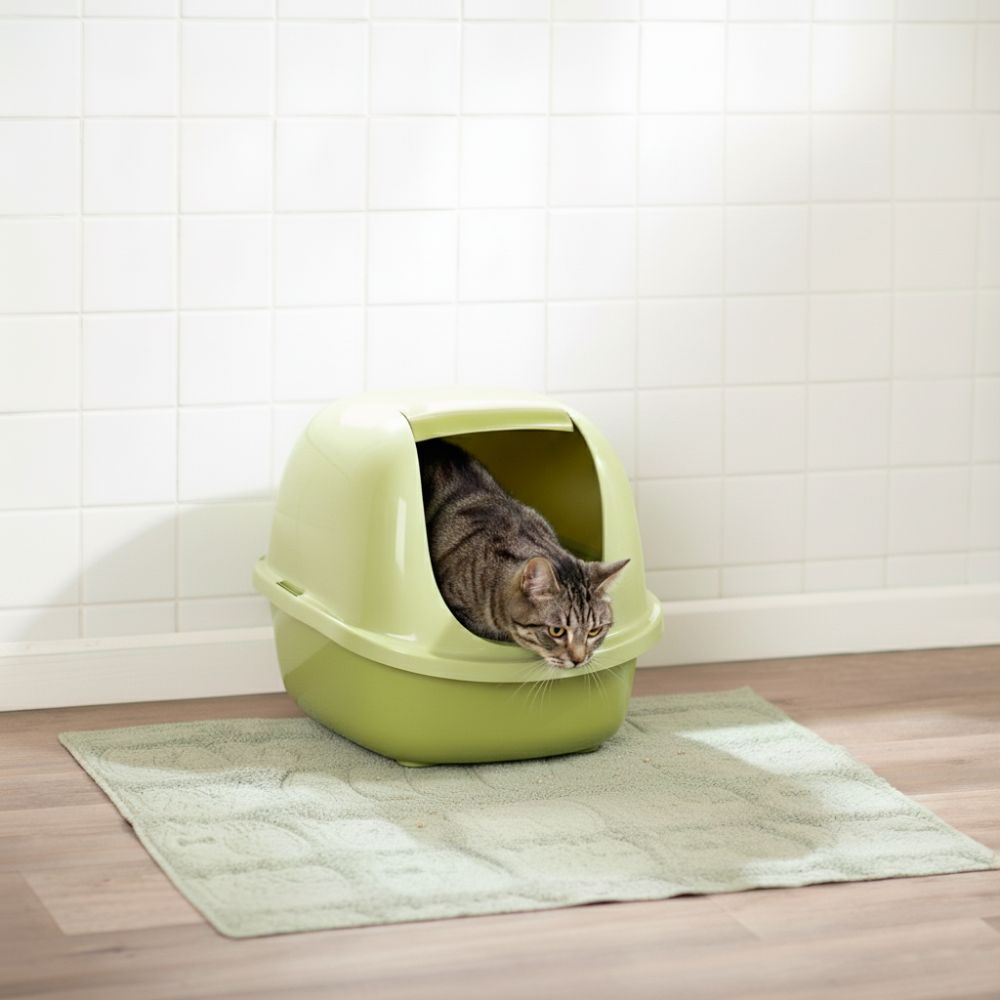 Tapete para arenero de gato