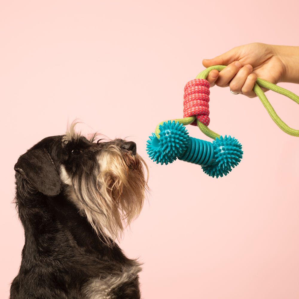 Juguete de cuerda con hueso