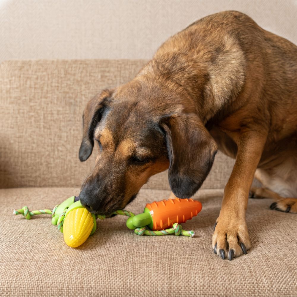 Juguete de cuerda con figuras de vegetales para mascotas