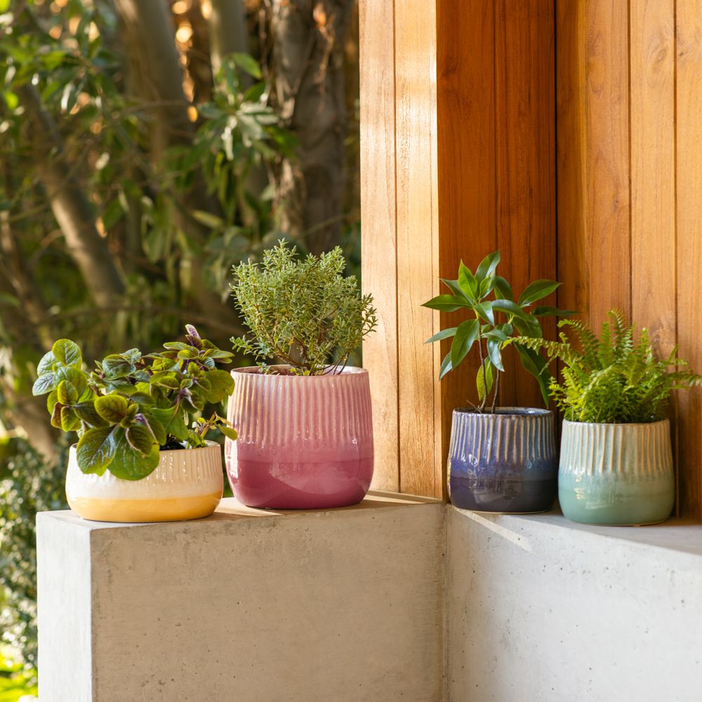 Maceta de cerámica con textura 19.8x8.7 cm