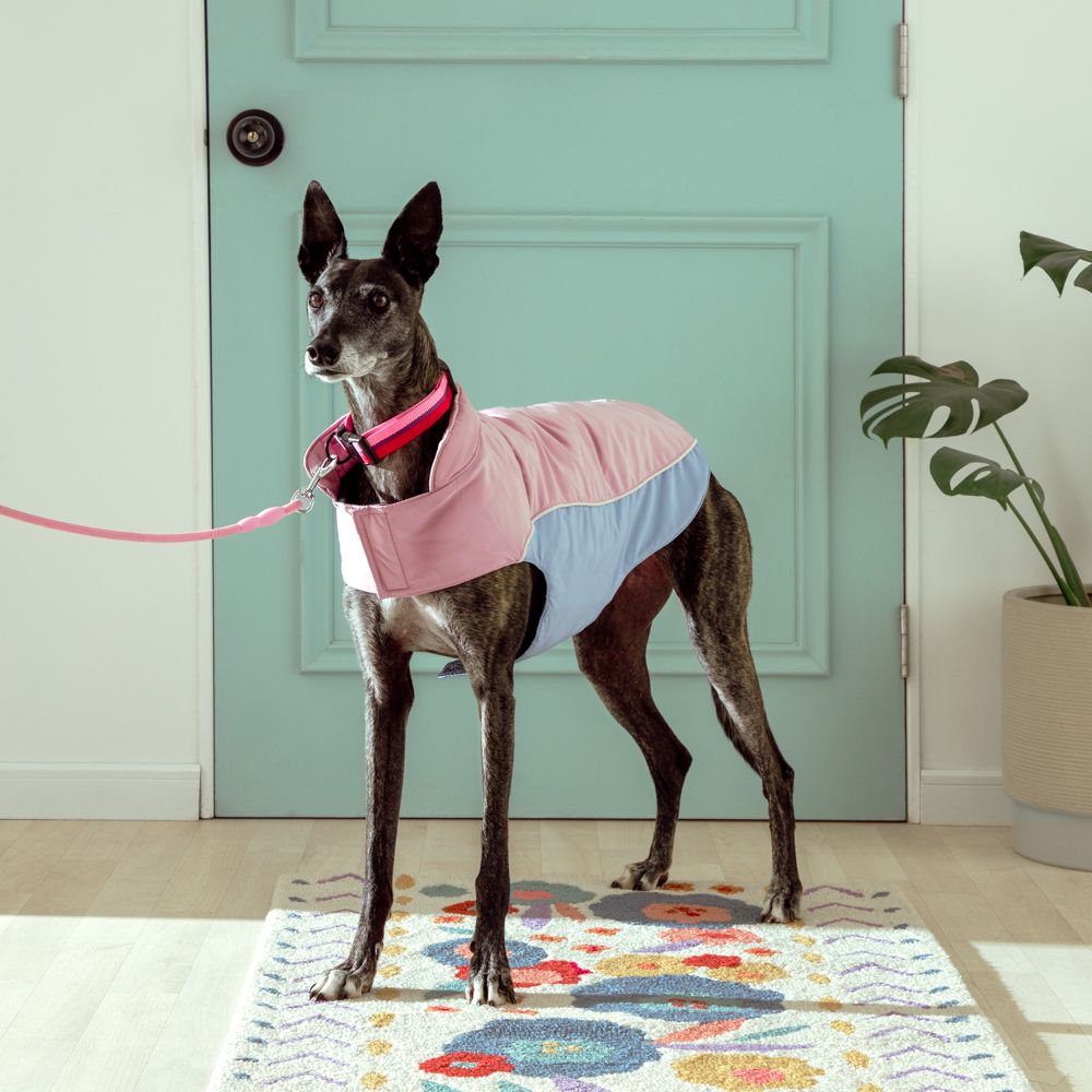 Chaqueta impermeable para mascota talla grande