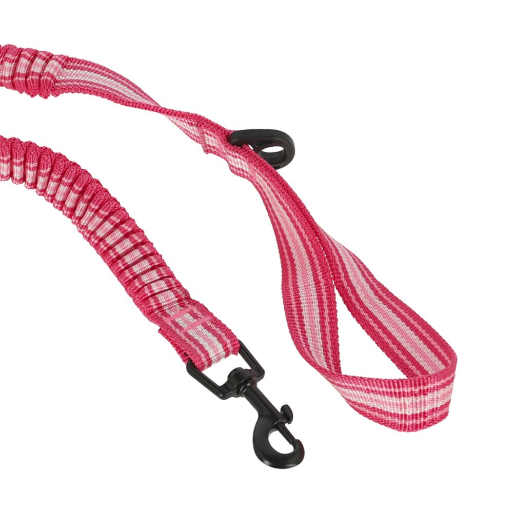 Correa Cinta Antishock para mascota L/XL