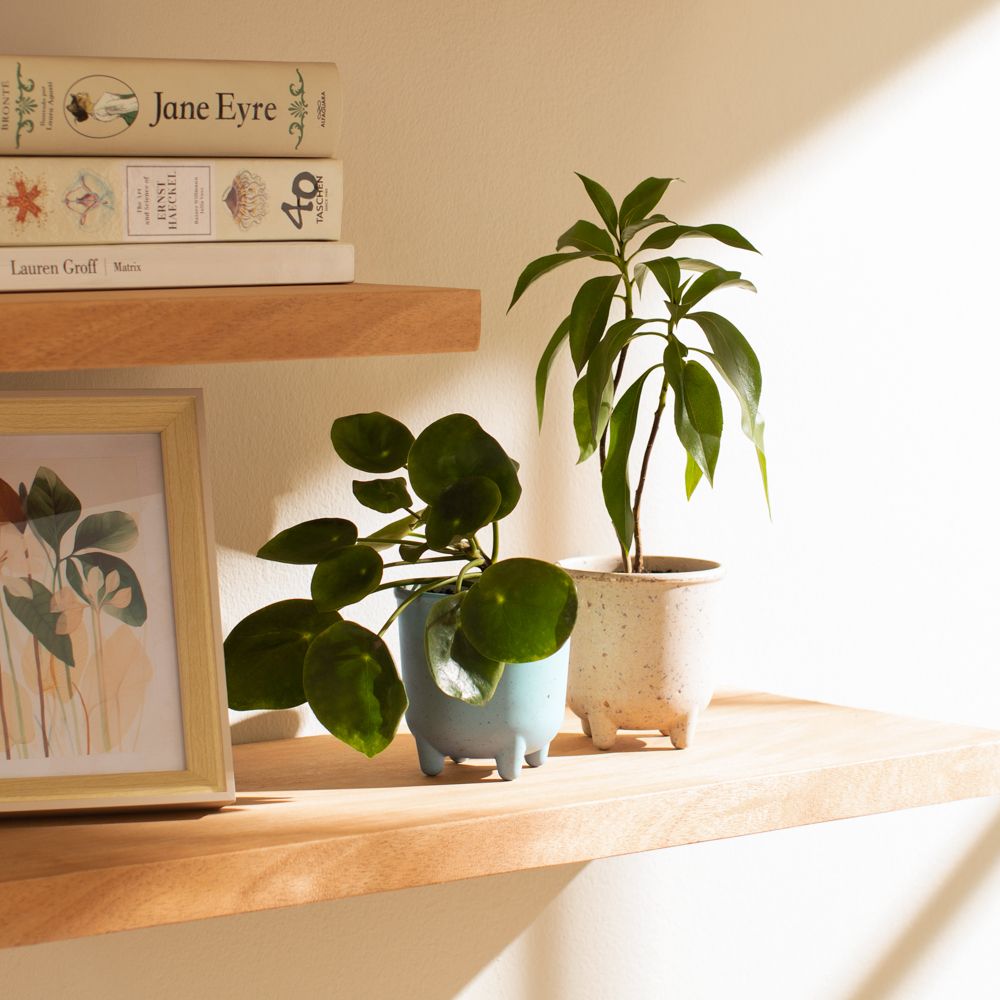 Maceta de fibra de bambú con patas 9.5x9.8 cm