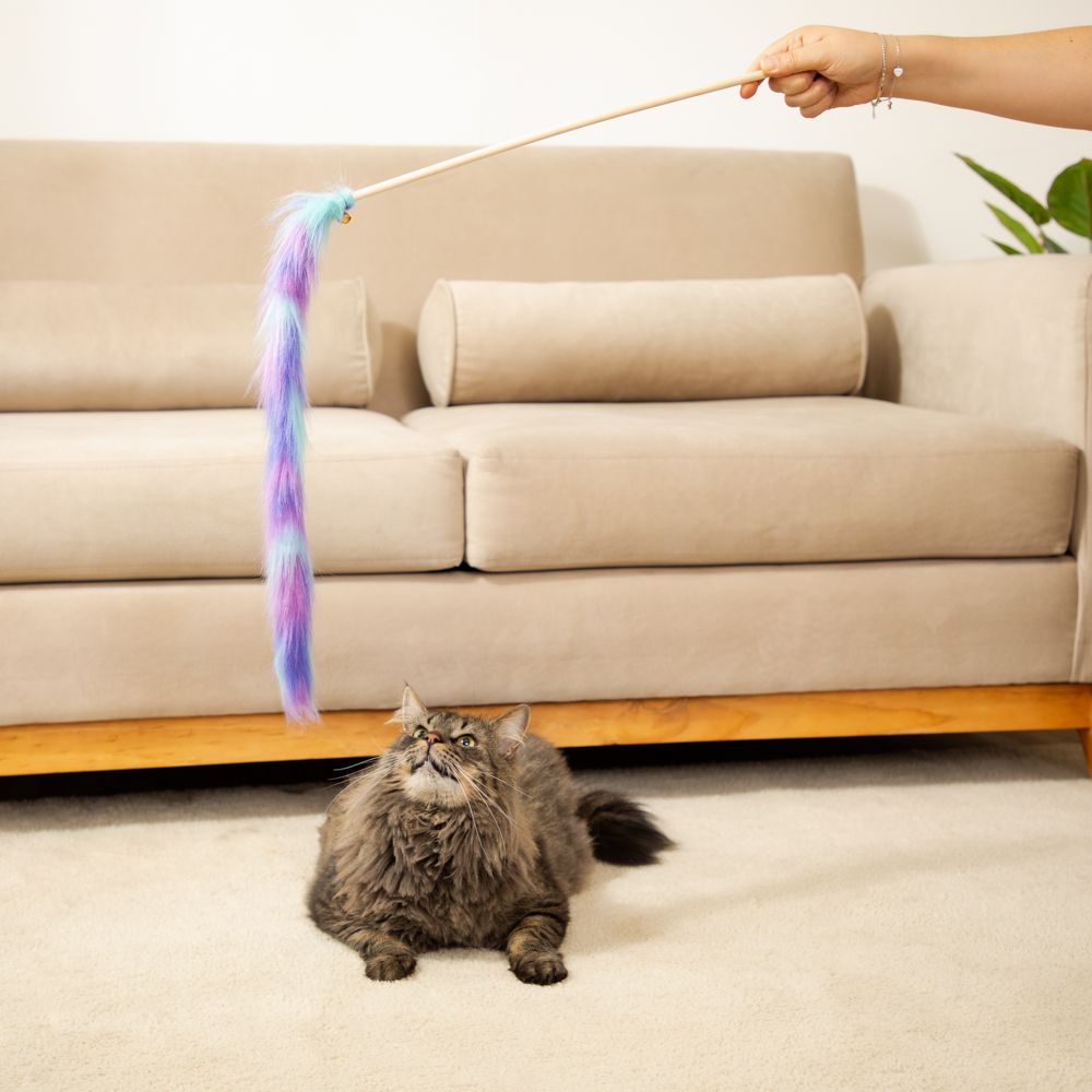 Juguete para gato de vara