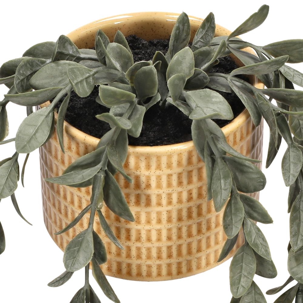 Maceta de cerámica con suculenta colgante