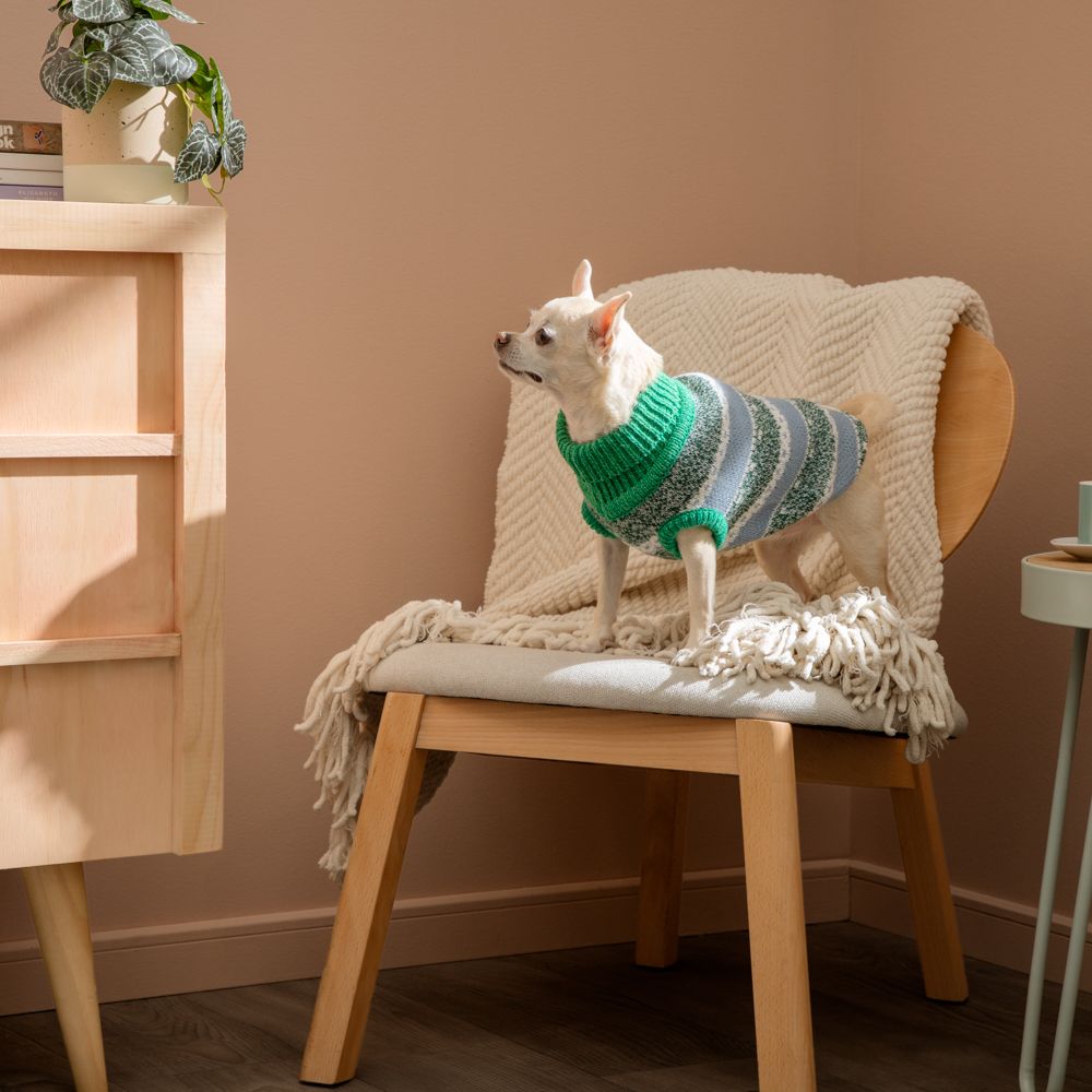 Chaleco tejido para mascota talla chica