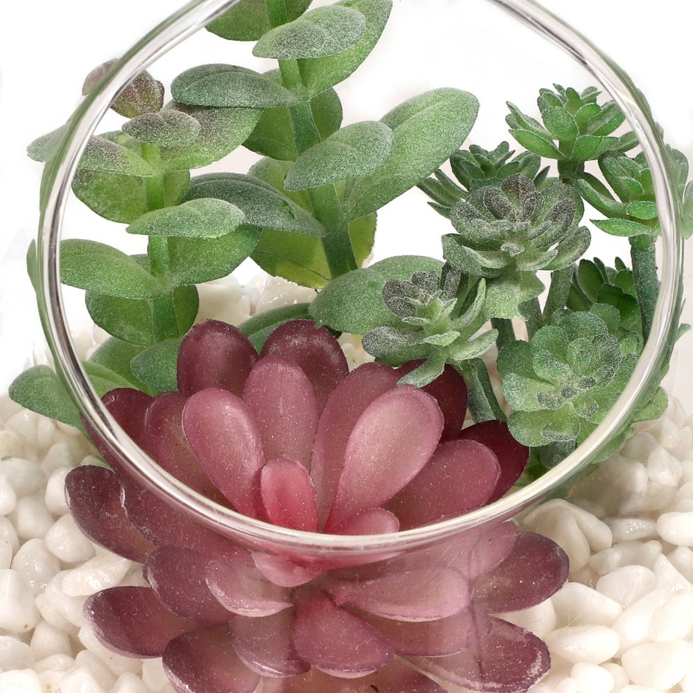 Terrario de vidrio con cactus 12x12 cm