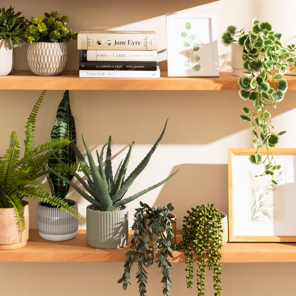 Planta colgante con maceta 18x30 cm