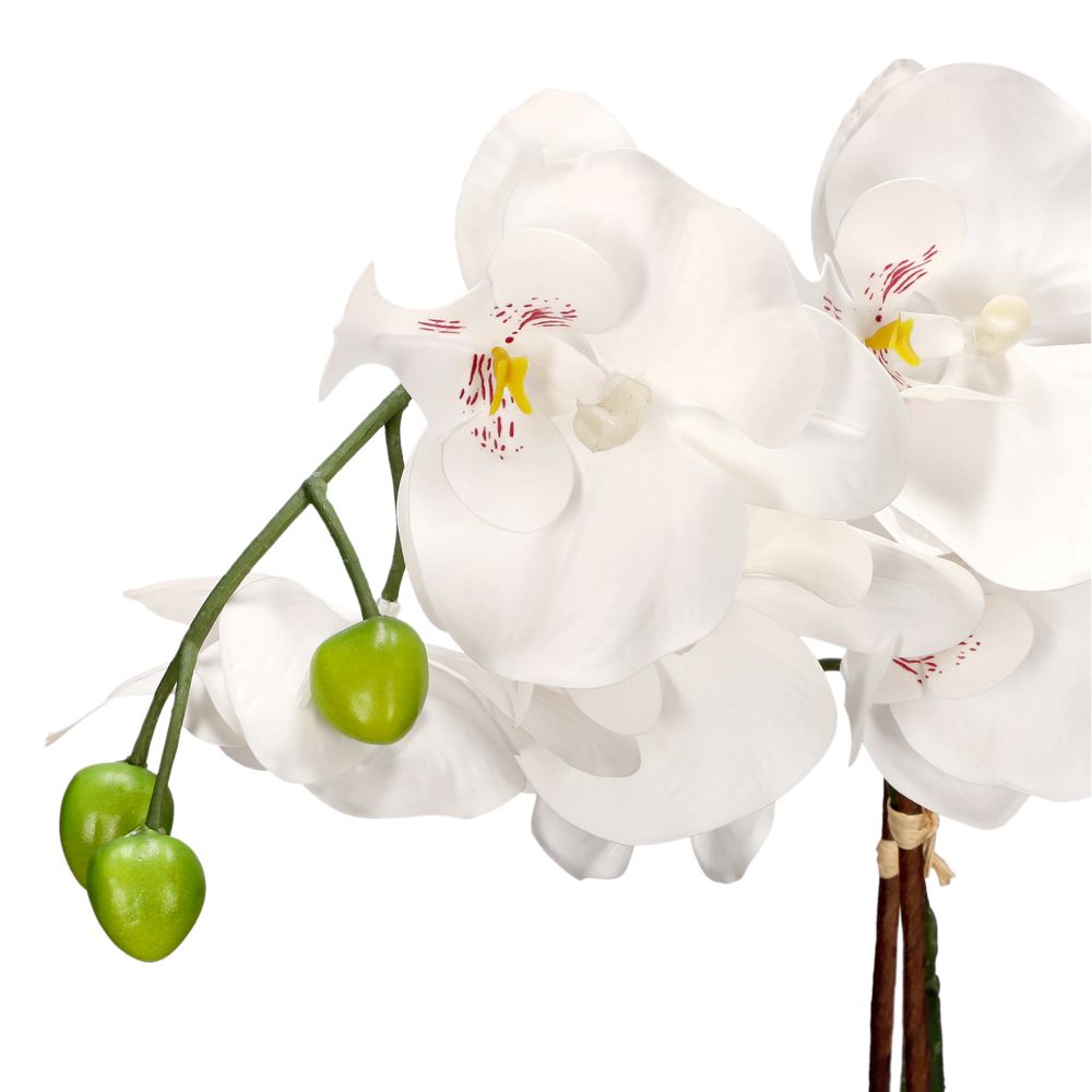 Maceta con flor alta orquidea