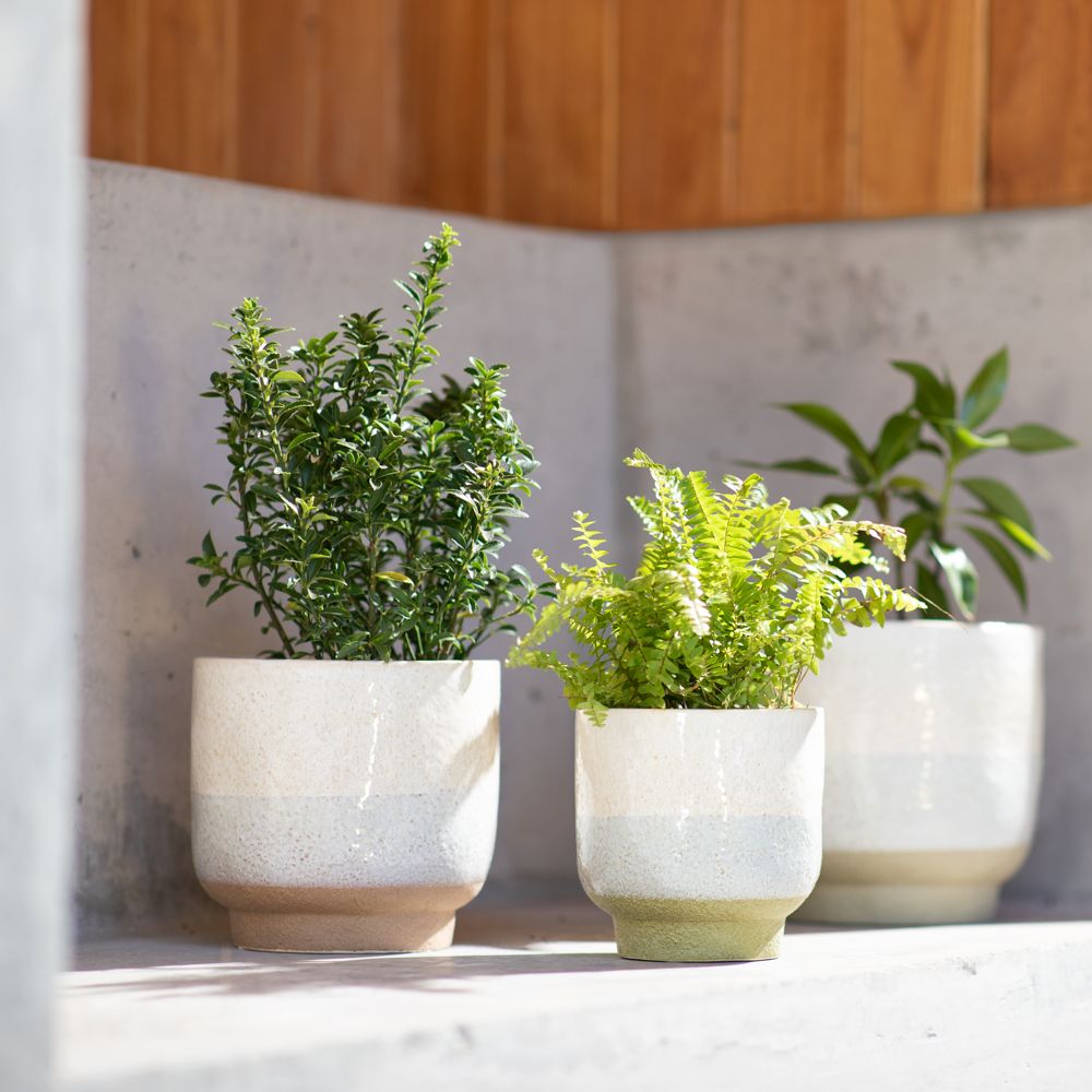 Maceta de cerámica crudo 16.8x15.5 cm