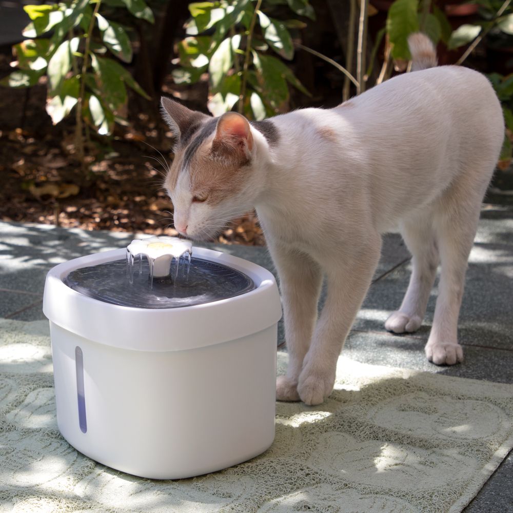 Fuente de agua para gatos 2.5 L