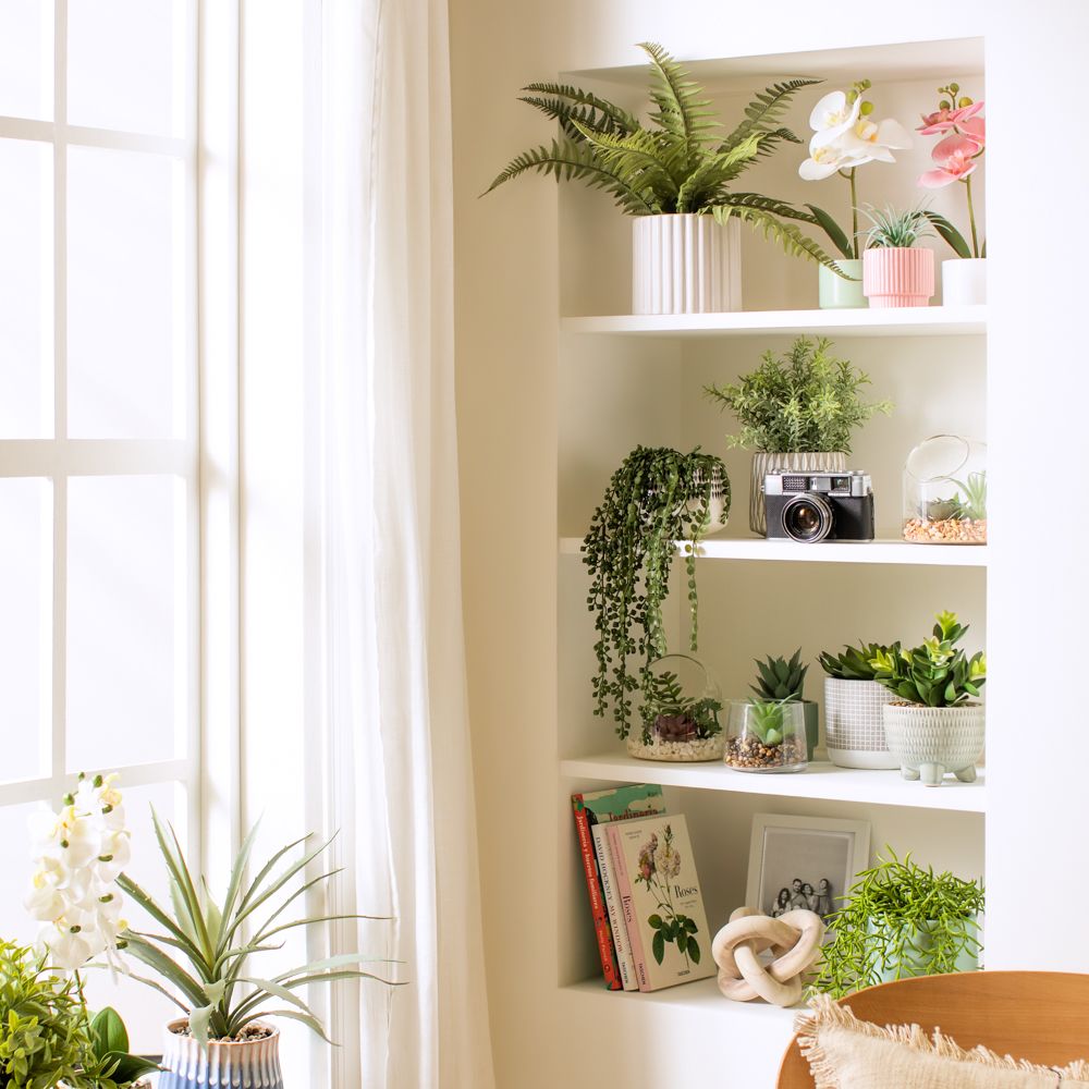 Maceta con orquídea pequeña