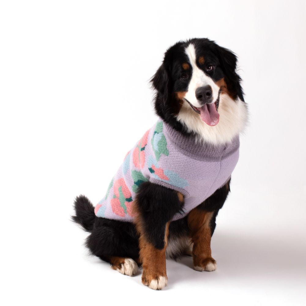 Chaleco tejido para mascota XL