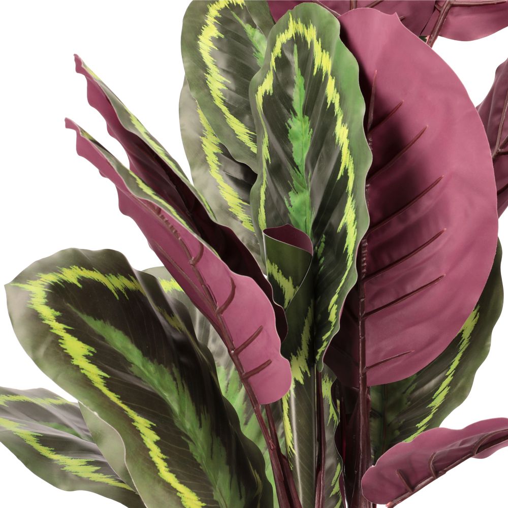 Maceta con planta grande 40x85 cm