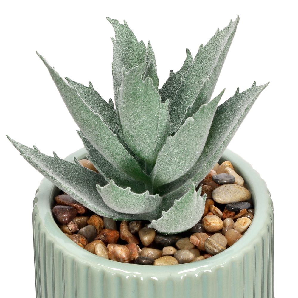 Maceta con cactus pequeño 13.5x8 cm