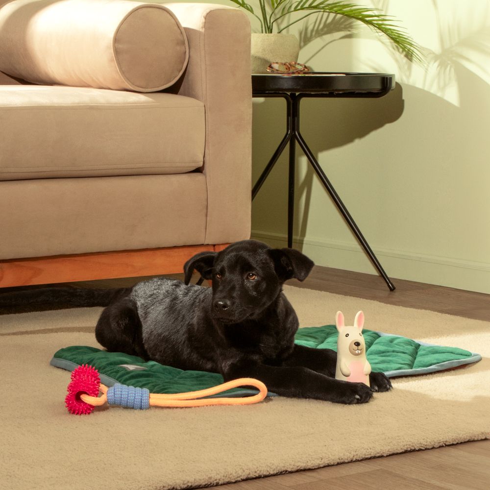 Tapete Acolchado para Mascotas 50x70x3 cm