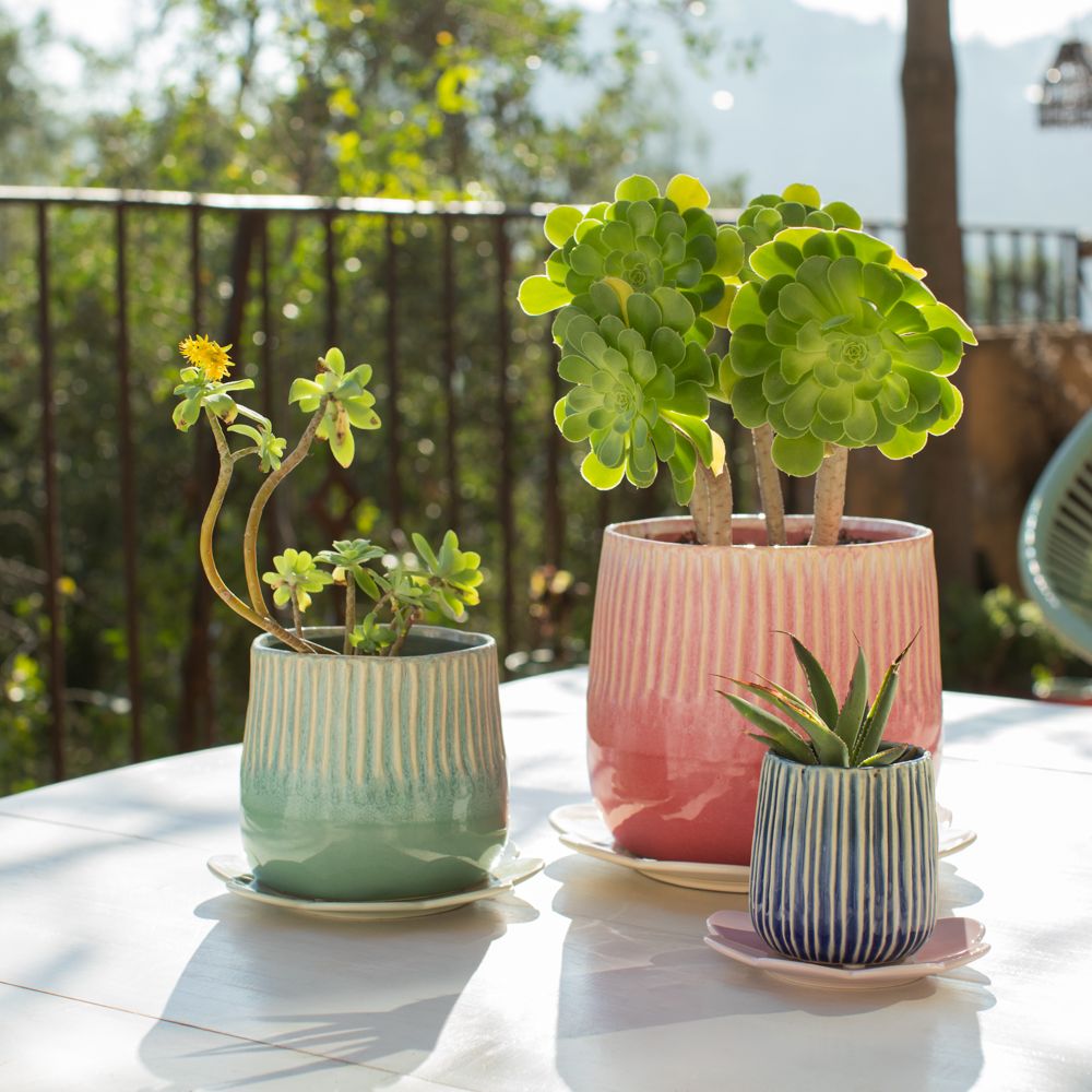 Plato para macetero con forma de flor 18 cm