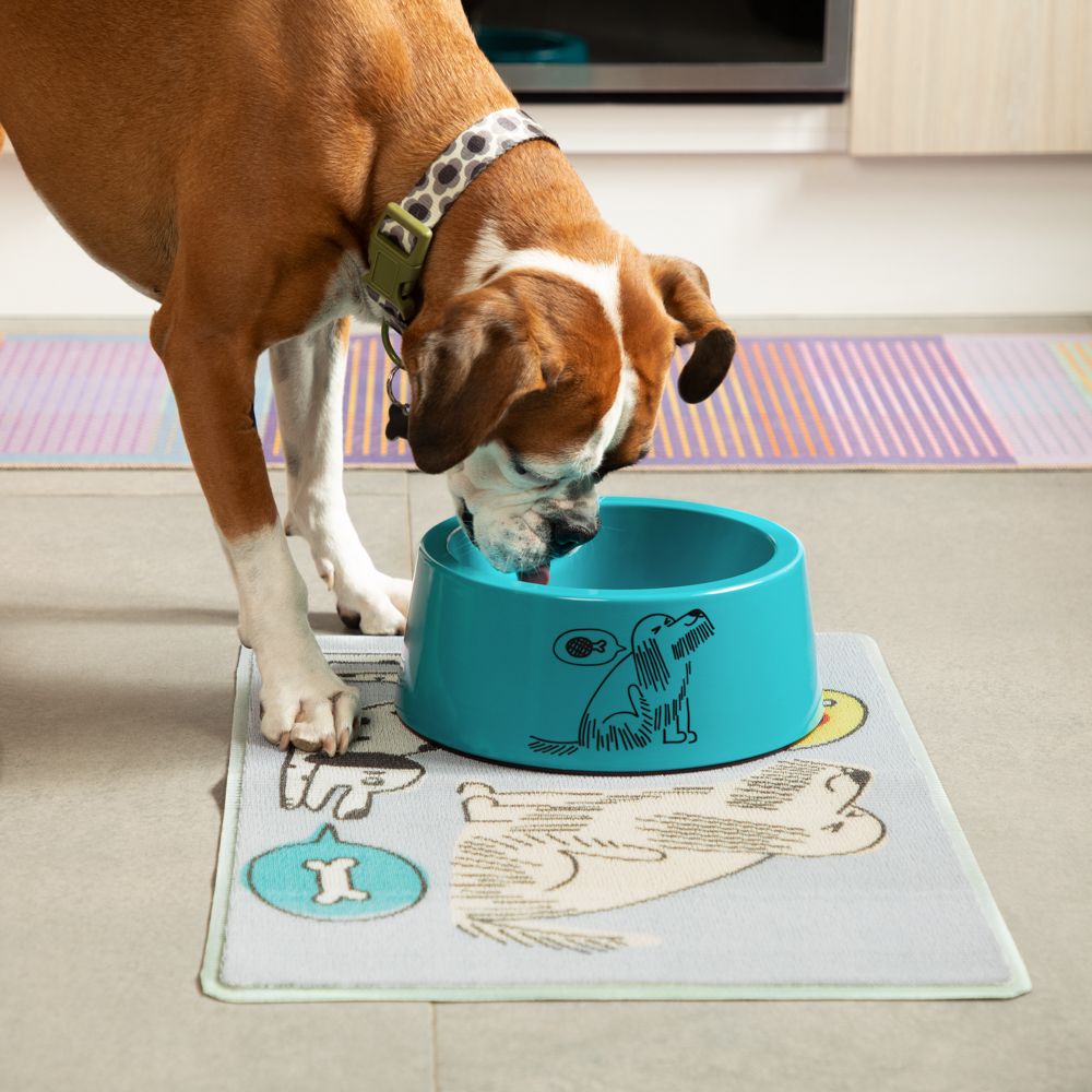 Plato de comida de melanima 1680 ml