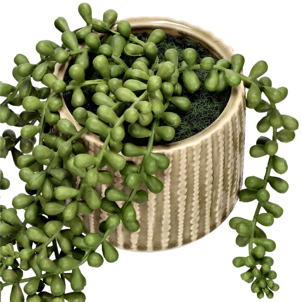 Maceta de cerámica con suculenta colgante